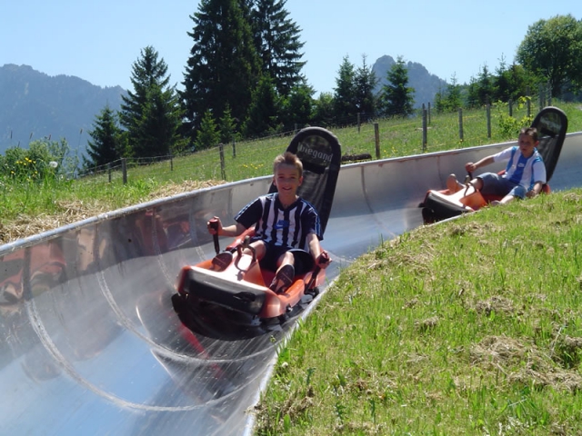 seilbahn.cc - Wiegand Sommerrodelbahn