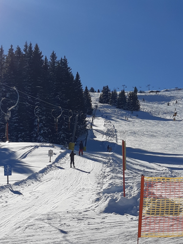 seilbahn.cc - Tellerlift Doppelmayr